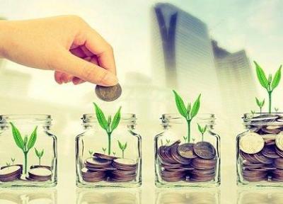 حمایت ستاد توسعه زیست فناوری از تولیدات دانش در این حوزه