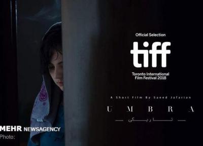 فیلم کوتاه تاریکی به بخش مسابقه تیف 2018 راه یافت