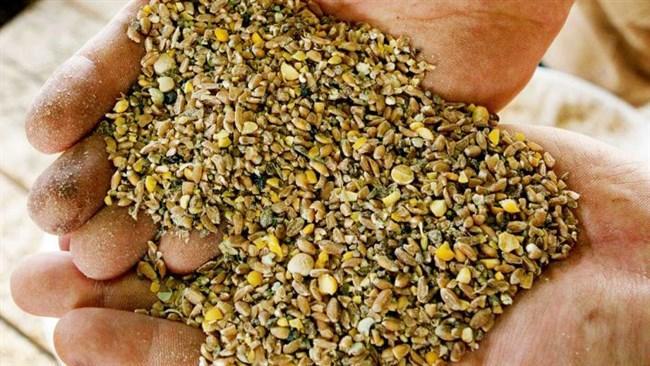 رشد 16 درصدی واردات نهاده های دام و طیور رشد 16 درصدی واردات نهاده های دام و طیور