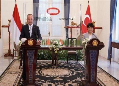 تاکید اندونزی و ترکیه بر اتحاد در برابر اسلام هراسی