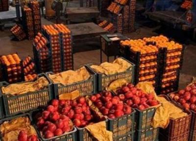 80 نقطه در استان تهران میوه شب عید را توزیع می نمایند